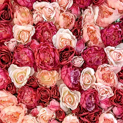 Güllerin Renklerine Göre Anlamları ve Gönderilme Amaçları: Hangi Gül Ne Anlatır?