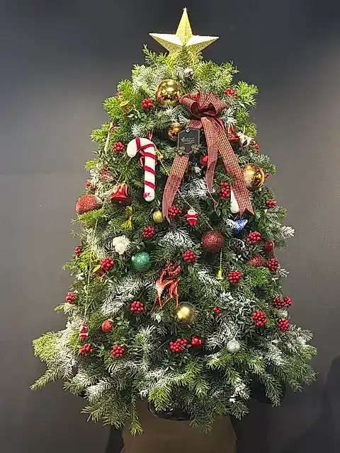 Northern Star Premium Tree – Yeni Yıl Işığının En Gösterişli Hali