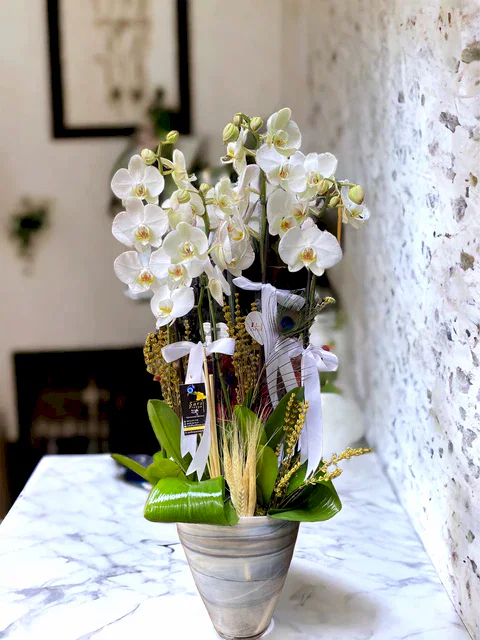 4 Dal Beyaz Hollanda Orkidesi Özel Cam Vazoda