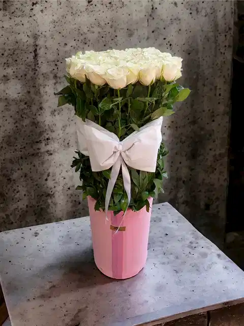 Pembe Dev Kutuda 50 Beyaz Gül