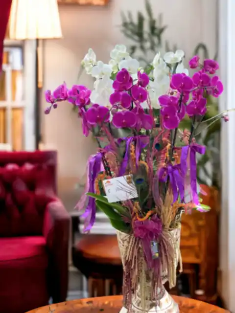 8 Dallı Luxury Orkide