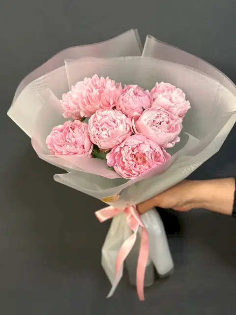 Peonies (Şakayık)