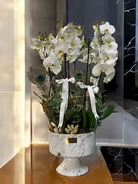 8 dallı Luxury Orkide