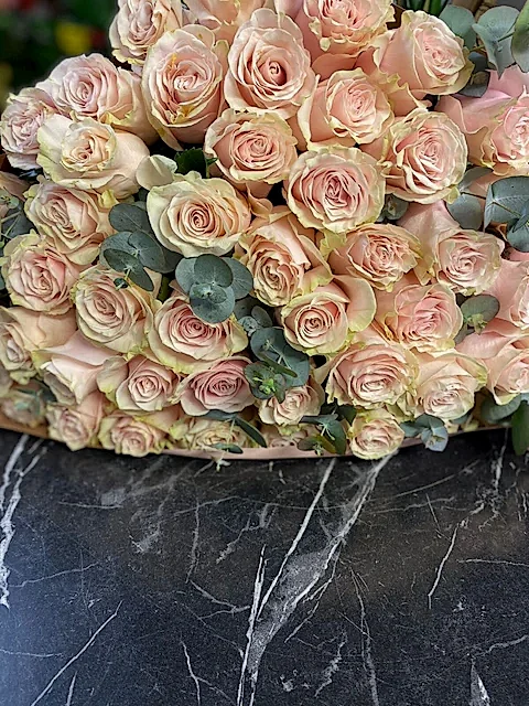 Toz Pembe Ekvator VİP