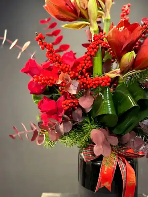 Scarlet Amaryllis – Gücün ve Zarafetin Kırmızı Yorumu