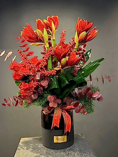 Scarlet Amaryllis – Gücün ve Zarafetin Kırmızı Yorumu