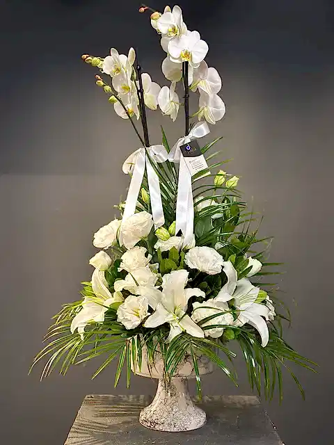 Beyaz Orkide Aranjmanı Seramik Vazoda