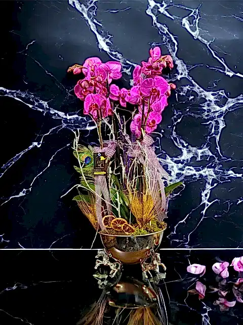 Pegasus Silver Vazoda 4 dal Mor Orkide