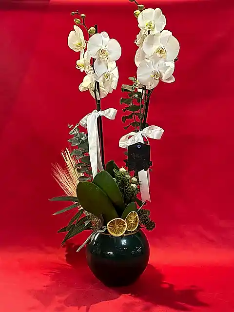 Adeline Beyaz Orkide ve Şıklığın Harmanı