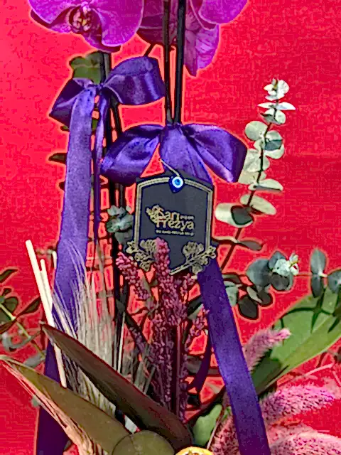 Olivia Mor Orkide ve Şıklığın Harmanı