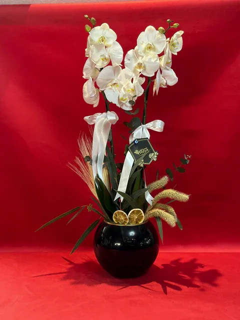 Isabella İki Dallı Beyaz Orkide Aranjmanı