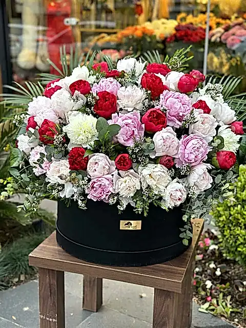 Dev Şakayık (Peonies)