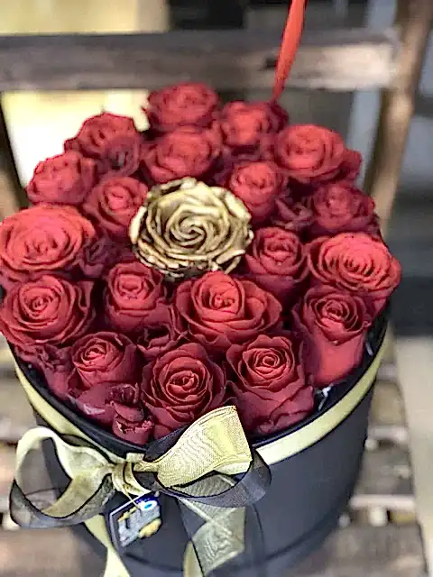 Marry Me Evlilik Teklifi