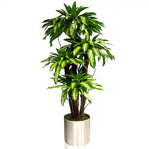 Metal Saksı da Masengena 002